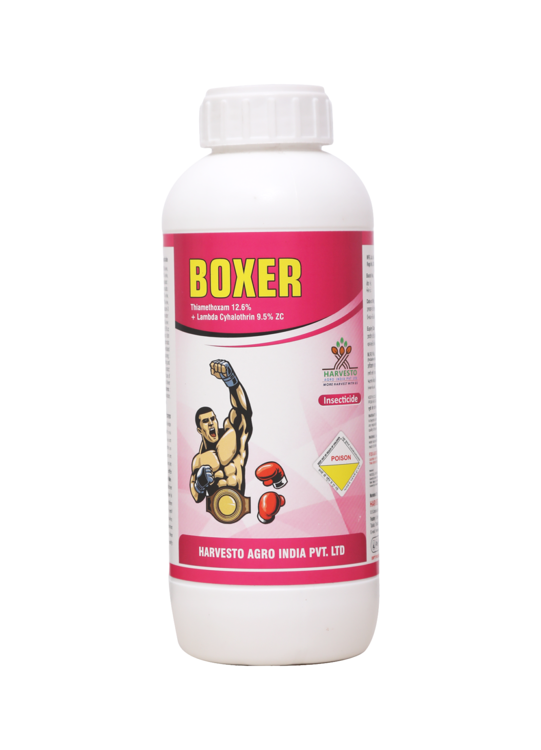 Boxer